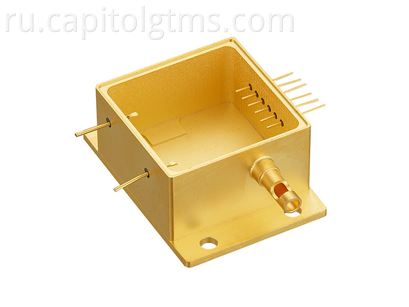 Gold Plate Metal Glass Enclosure